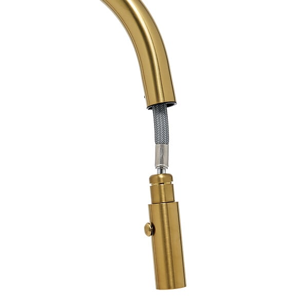 SWISS AQUA TECHNOLOGIES - Swiss Aqua Technologies Mitigeur évier à levier sur pied 44 cm avec douchette extractible 2 jets, or brossé (SATBAUR286BG) - large