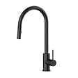SWISS AQUA TECHNOLOGIES - Swiss Aqua Technologies Aurum mitigeur évier à levier sur pied 44 cm avec douchette extractible 2 jets, noir mat (SATBAUR286C) - vignette