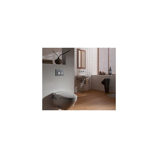 GEBERIT - Sigma 20 nouveau modele acier inoxydable, brossé/poli (115.882.SN.1) - large