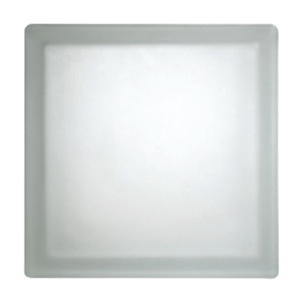 GLASSBLOCKS - Luxfera brique de verre 19x19x8 cm, translucide mat (CL1908CM) - large