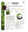 RACINE - Terreau professionnel bio rétenteur d'eau Hydrasol sac 40 l RACINE PRO154 - vignette