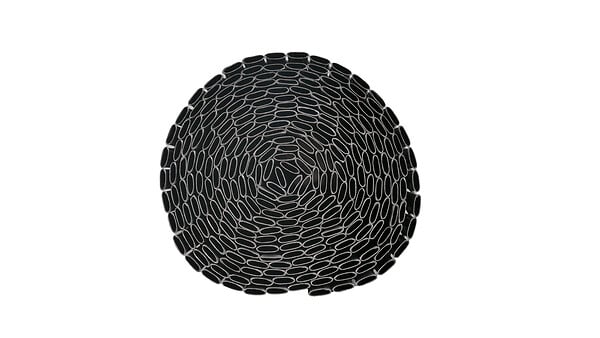 SICATEC - Canisse PVC double face occultante - Gris - H.1xL.3m - large