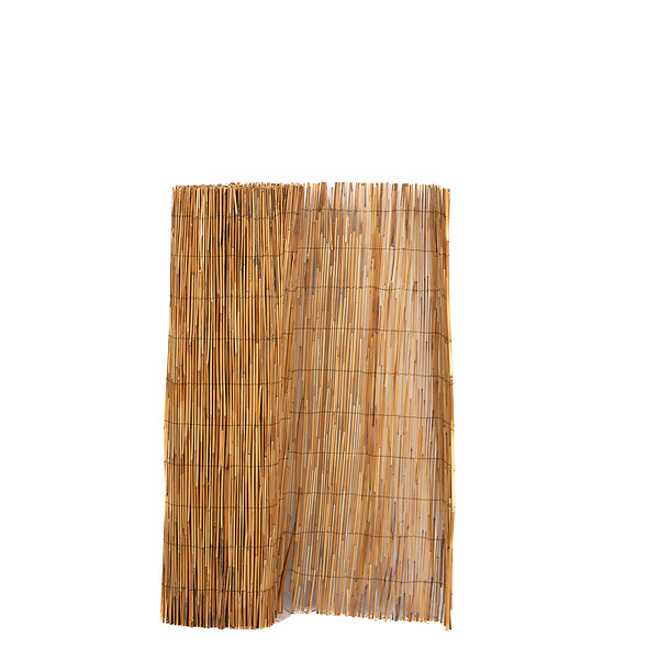 SICATEC - Paillon en roseaux fins pelé brillant - 1.5x5 m - large