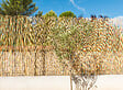SICATEC - Paillon en roseaux fins pelé brillant - Bois clair - H.2xL.5m - vignette