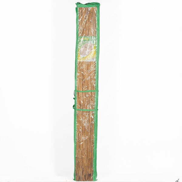 SICATEC - Paillon en roseaux fins pelé brillant - Bois clair - H.2xL.5m - large