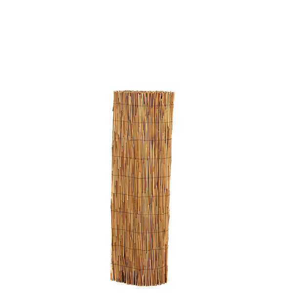 SICATEC - Paillon en roseaux fins pelé brillant - Bois clair - H.2xL.5m - large