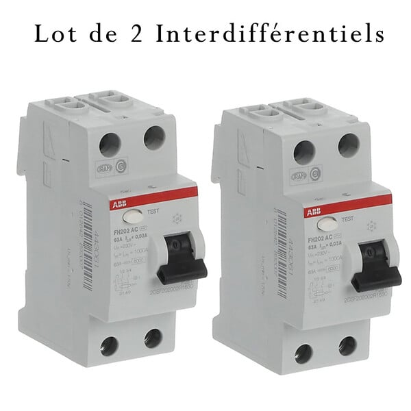 ABB - ABB Lot de 2 interrupteurs différentiels à vis 63A 30mA Type AC - large