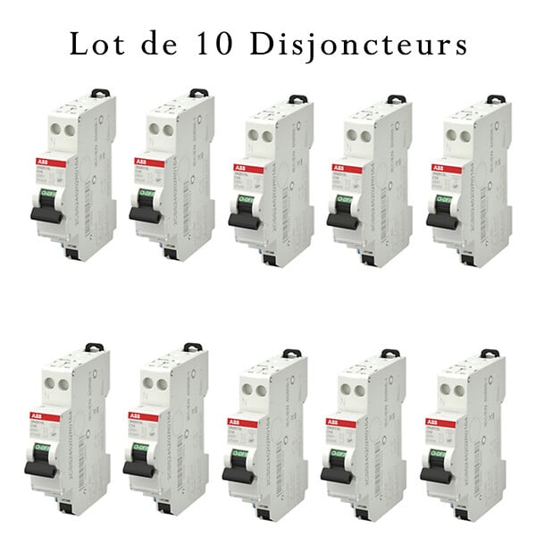 ABB - ABB Lot de 10 disjoncteurs automatiques Ph+N raccordement Rapide 16A-4,5Ka - large