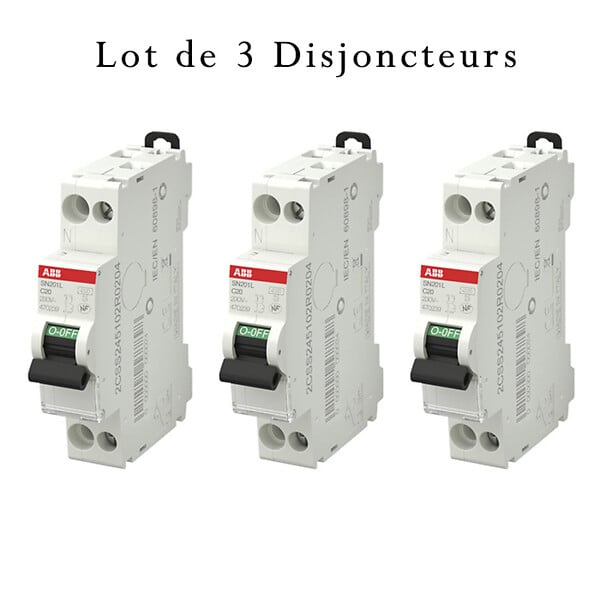ABB - ABB Lot de 3 disjoncteurs Ph+N raccordement Vis 20A-4,5Ka - Courbe C - large