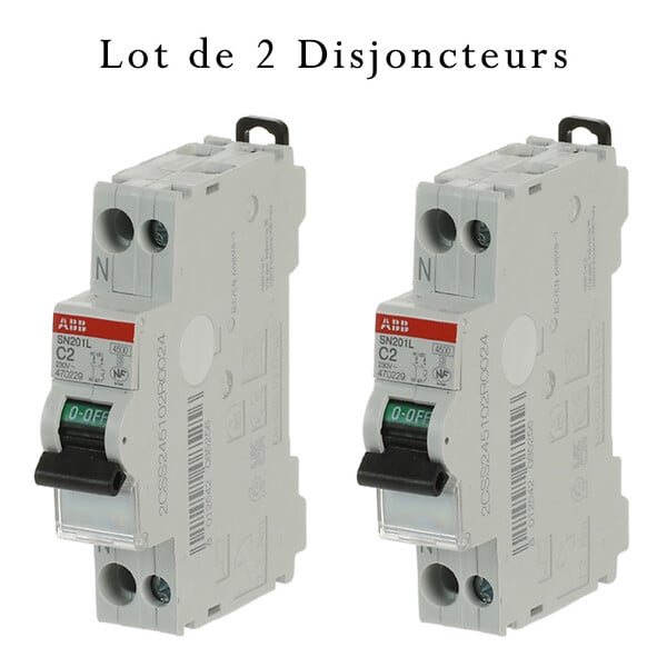 ABB - Lot de 2 disjoncteurs Ph+N raccordement Vis 2A-4,5Ka - Courbe C - large