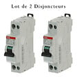 ABB - Lot de 2 disjoncteurs Ph+N raccordement Vis 2A-4,5Ka - Courbe C - vignette
