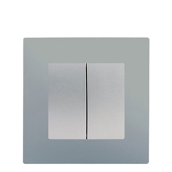SIEMENS - SIEMENS Double V&V SILVER Siemens DELTA VIVA plq SILVER - large