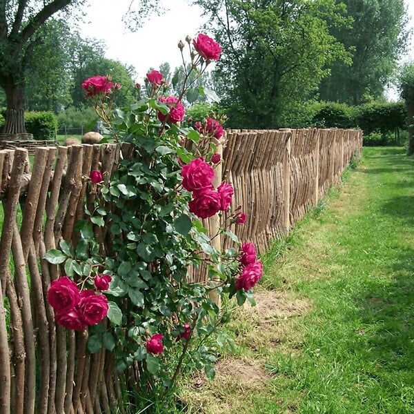 ART GARDEN - Panneau cloture noisetier en tressage vertical - H100 X L 150 cm - large