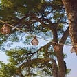 LUMISKY - Guirlande solaire ROTILIA HYBRID 10 ampoules 8M - vignette