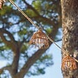 LUMISKY - Guirlande solaire MINI HAWAI HYBRID 10 ampoules 8M - vignette