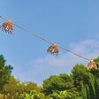 LUMISKY - Guirlande solaire MINI HAWAI HYBRID 10 ampoules 8M - vignette