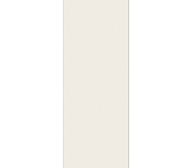 GD MENUISERIES - Porte Coulissante Blanc Pur Lacdor  H204 x L73 cm, Rail Alu - large