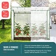 VOUNOT - Serre de jardin Serre tomates avec porte et fenetres moustiquaire bache PE renforcee 135g/m2 200x77x170cm Blanc - vignette