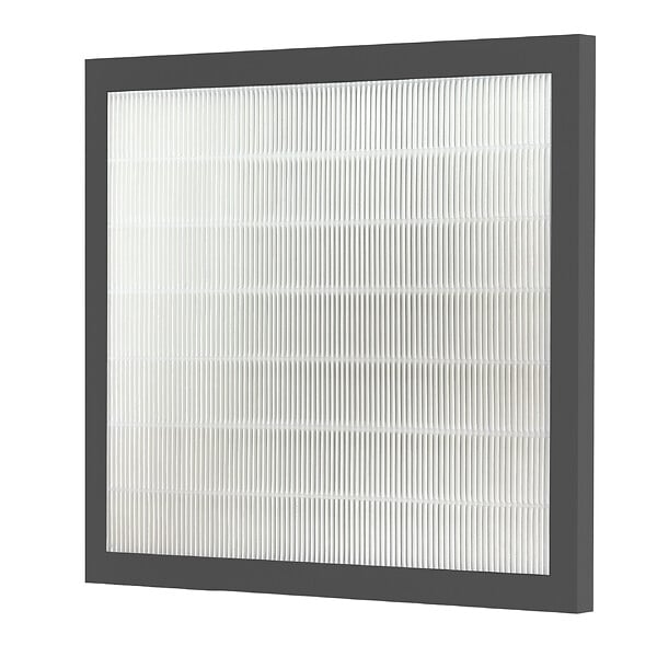 BESTHERM - Filtre HEPA 13 pour déshumidificateur ATHEA 20L, AZRA 20L et FERYEL 24L – BESTHERM - Purificateur d'air – Compatible modèle KERIA 10L ET ILLA 12L – Dimensions 222 x 208 x 10 mm - large