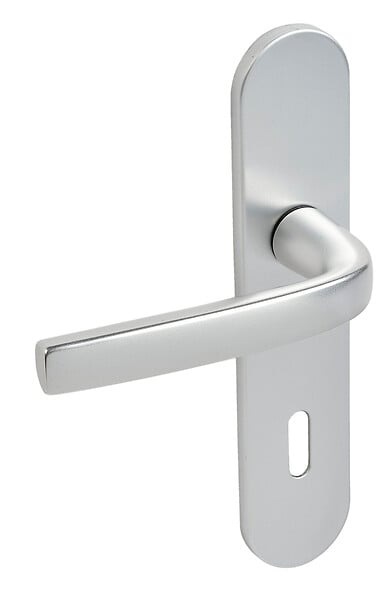 VACHETTE - Ensemble sur plaques Logio entraxe 195mm type CLE I finition argent - VACHETTE - 200666 - large