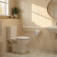 BEMETA - Barre de maintien de douche HELP en blanc comaxite - vignette