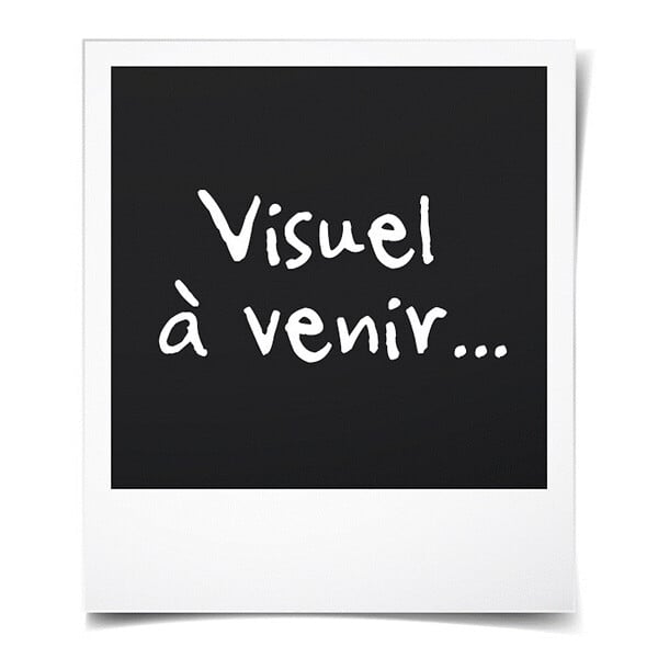 GD MENUISERIES - Fixe Lateral Bois Exo Prepeint Blanc H215 x L40 cm Côte Tableau - large