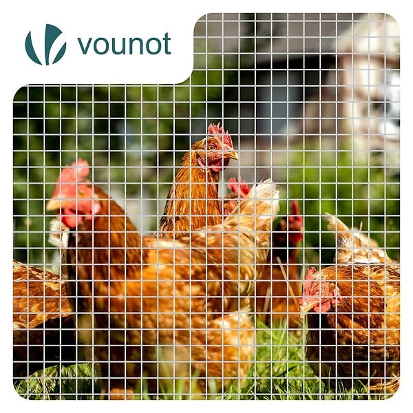 VOUNOT - Grillage a maille soude en acier galvanise 25mm fil 1 mm 0.5x25m metal - large