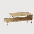 HABITAT ET JARDIN - Table basse en bois "Loire" - 100 x 50 x 40 cm - Marron - vignette