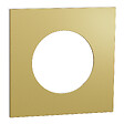 SCHNEIDER - Plaque métal 1 poste effet Laiton support blanc, Odace - vignette