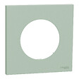 SCHNEIDER - Plaque 1 poste, Vert jade, Odace - vignette