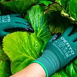 NEO TOOLS - Gants de jardinage trépointe VERTO enduits de nitrile - vignette