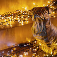 TWINKLY - TWINKLY Guirlande connectée IP44 6m 400 LEDS blanc chaud froid Cluster Twinkly - vignette