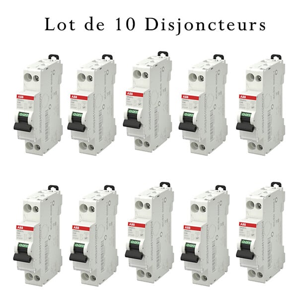 ABB - Lot de 10 disjoncteurs Ph+N raccordement Vis 20A-4,5Ka - Courbe  C-ABB - large