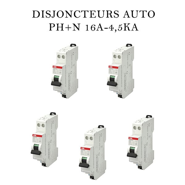 ABB - ABB Lot de 5 disjoncteurs automatiques Ph+N raccordement Rapide 16A-4,5Ka - large
