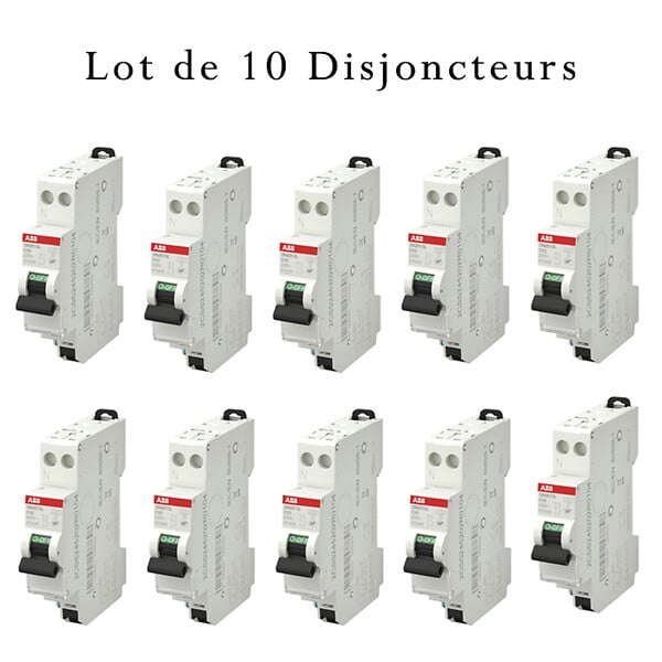 ABB - ABB Lot de 10 disjoncteurs automatiques Ph+N raccordement Rapide 10A-4,5Ka - large