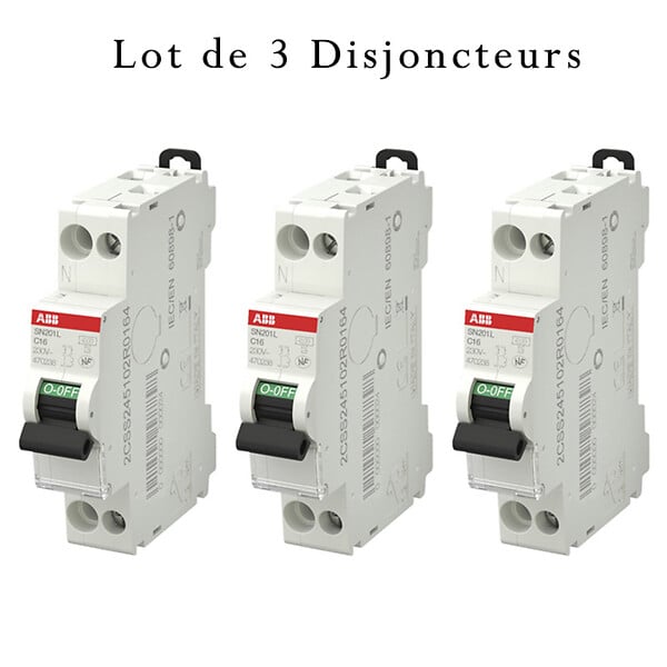 ABB - ABB Lot de 3 disjoncteurs Ph+N raccordement Vis 16A-4,5Ka - Courbe C - large