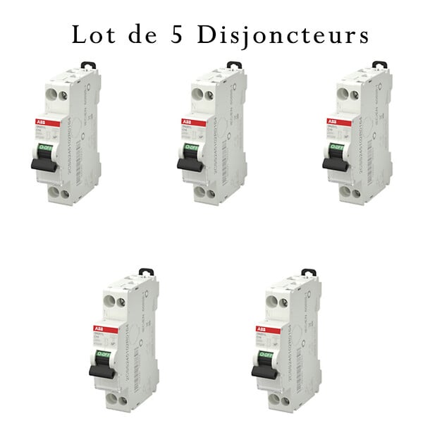 ABB - ABB Lot de 5 disjoncteurs Ph+N raccordement Vis 16A-4,5Ka - Courbe C - large