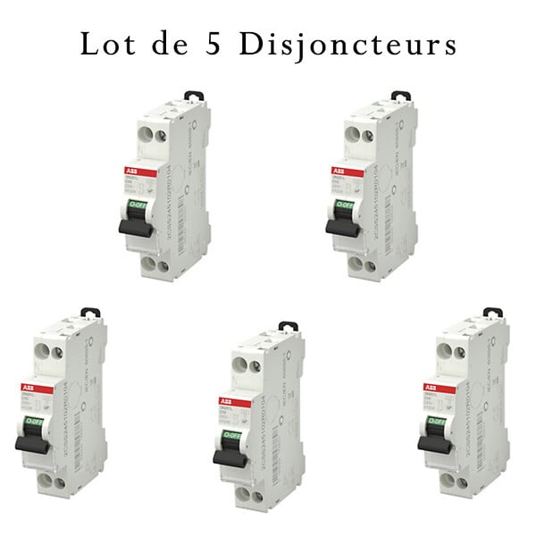 ABB - Lot de 5 disjoncteurs Ph+N raccordement Vis 10A-4,5Ka - Courbe  C-ABB - large