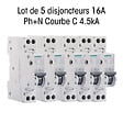 SIEMENS - SIEMENS Lot de 5 disjoncteurs électriques phase + neutre 16A - vignette