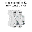 SIEMENS - SIEMENS Lot de 2 disjoncteurs phase + neutre 10A KNX - vignette