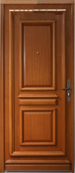 GD MENUISERIES - Porte d'entrée Bois Pleine Tahi 1, H215 x L90 cm Côte Tableau p. Gauche (Poignée, Barillet ref 010403FP) - large