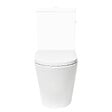 SWISS AQUA TECHNOLOGIES - Swiss Aqua Technologies Project cuvette WC à poser sans bride en céramique (réservoir non fourni), blanc (SATPRO31M) - vignette