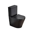 SWISS AQUA TECHNOLOGIES - Infinitio WC à poser complet en céramique avec abattant SoftClose, noir mat (SATINF031VPSNBKM) - vignette