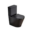 SWISS AQUA TECHNOLOGIES - Infinitio WC à poser complet en céramique avec abattant SoftClose, noir mat (SATINF031VPSNBKM) - vignette