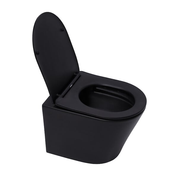 ROCA - Pack WC bâti-support + WC suspendu sans bride Swiss Aqua Technologies avec abattant SoftClose + plaque (ROSTINFBMR02-FR) - large