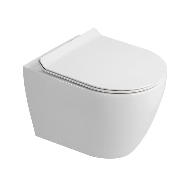 GROHE - Rapid SL Pack WC bâti autoportant + WC suspendu sans bride Ceramia avec abattant SoftClose + plaque blanche (GRRCEPXWR02FR-FS) - large