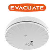 EVACUATE - EVACUATE Détecteur de fumée NF Slim avec support multi, autonomie et garantie 10 ans - vignette
