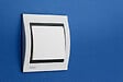 SIEMENS - SIEMENS Plaque Simple Metal Perle Blanc Delta IRIS - vignette
