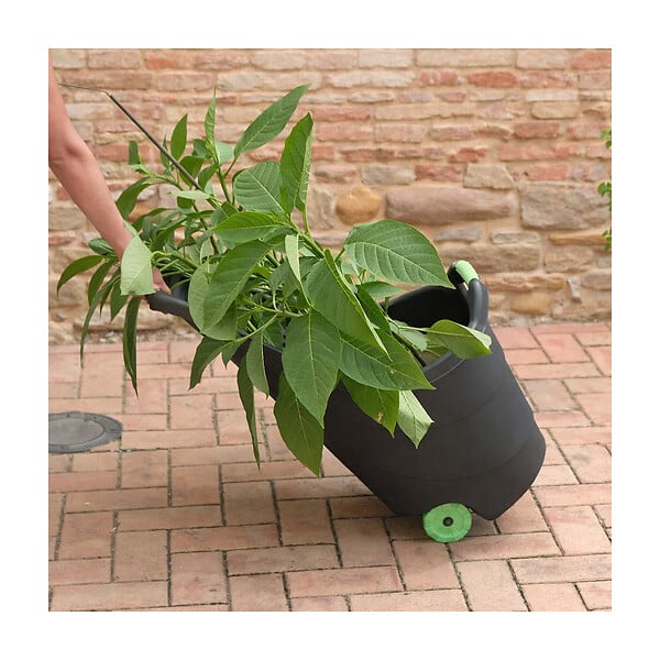KZ GARDEN - Chariot de jardin 62L 2 roues - Transport Bois, Terreau, Plantes Trolley Plastique robuste recyclé Noir KZ GARDEN - large