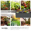 TECTAKE - Bac à fleurs surélevé en acier galvanisé gris anthracite 200 x 100 x 62 cm stable ergonomique 1200 l gants compris - vignette